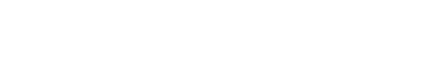 Intelligent Solutions